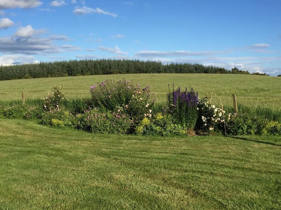 Blackhill Farm Cottage بيرث المظهر الخارجي الصورة
